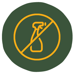 value icon