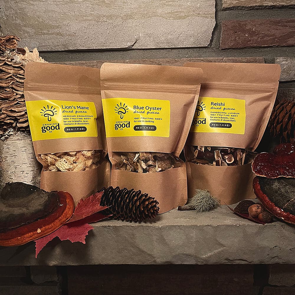 photo of packaged dried mushrooms
