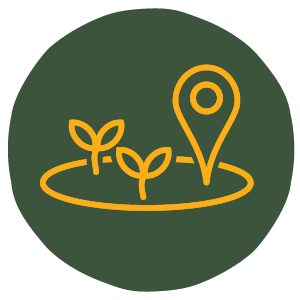 value icon
