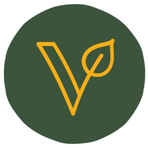 value icon