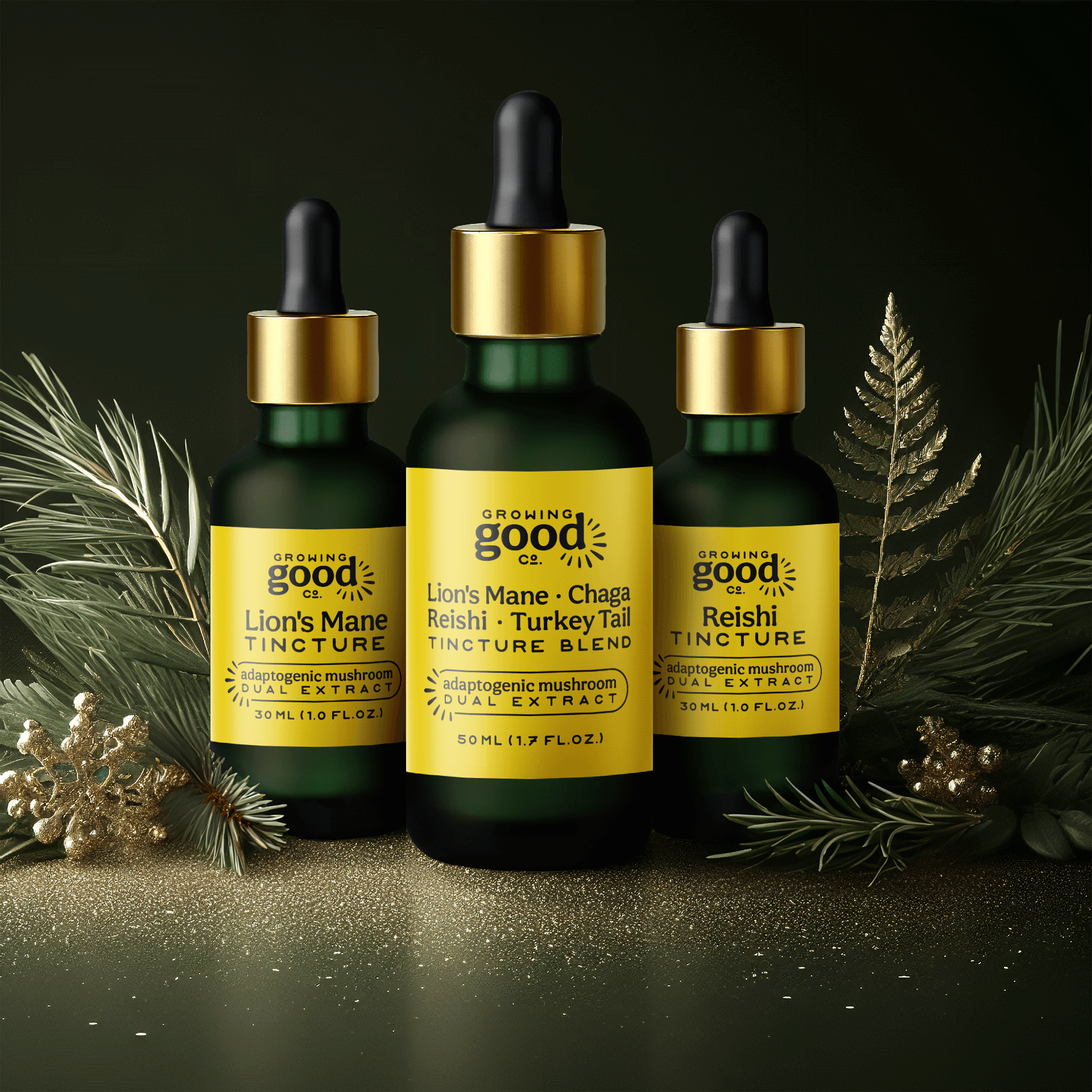 photo of glass medicinal mushroom tincture bottles